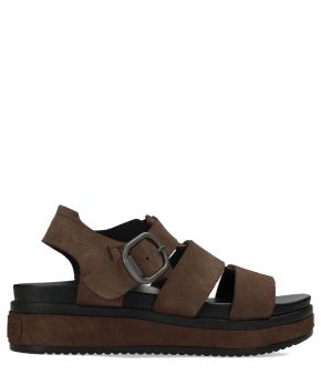 shabbies-149321-bruin 1