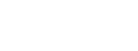 The Little Green Bag